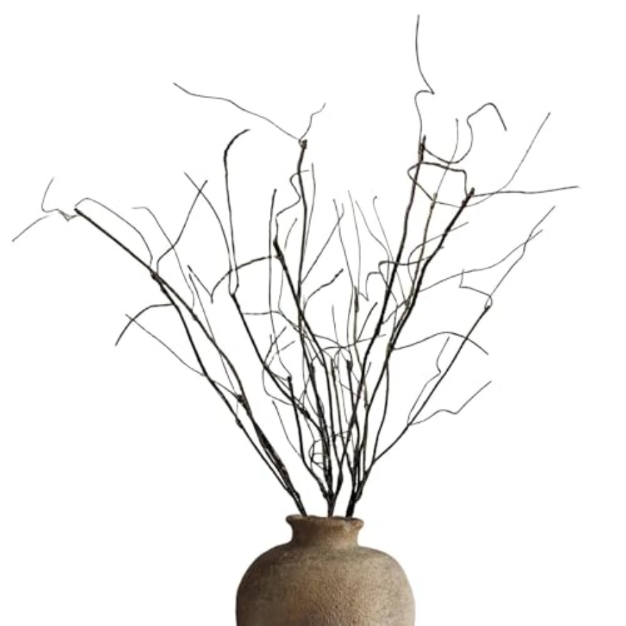 Branch Curly Willow - Biegbare, lockige Weidenzweige für Vasen, dehnbare