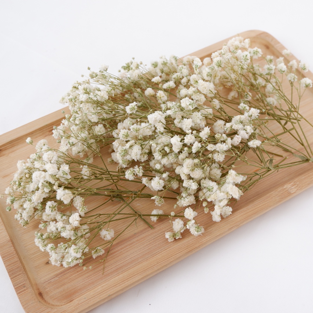 Florist Supply Vases - Getrocknete Blumen, weiße Mini-getrocknete Babys, Atem,