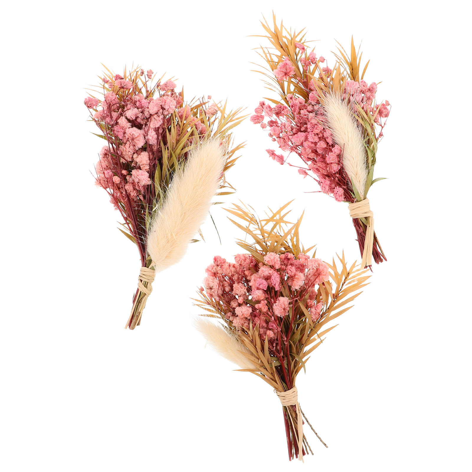 Florist Supply Vases - 3-teiliges Mini-Trockenblumen-Bouquet, Natürliches Kleines Trockenblumen-Arrangement, Vasen-Dekoration,