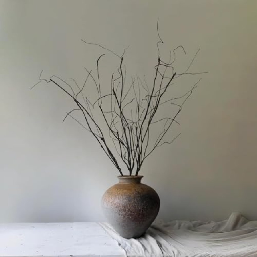 Biegbare, lockige Weidenzweige – Branch Curly Willow Bewertung und Preis
