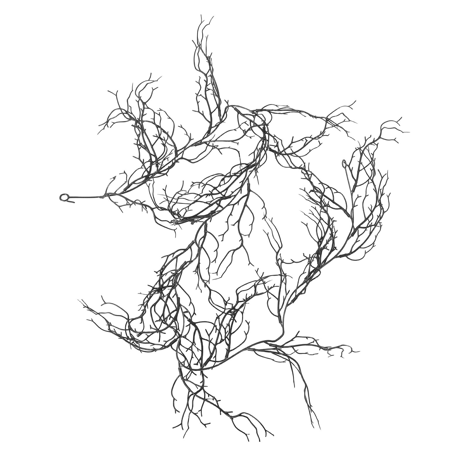 Flexible schwarze, lockige Wei – Branch Curly Willow Bewertung und Preis