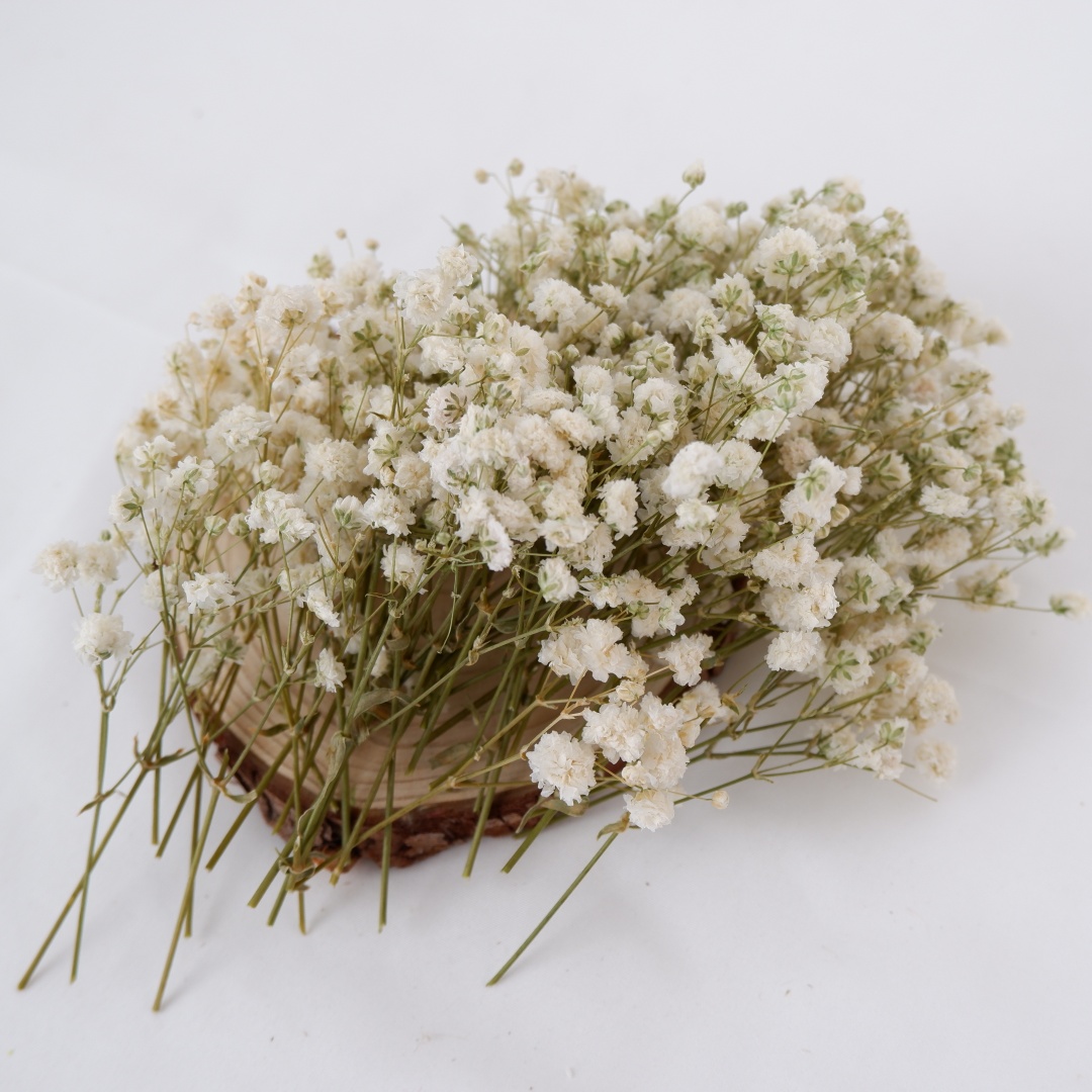 Getrocknete Blumen, weiße Mini – Florist Supply Vases Bewertung und Preis