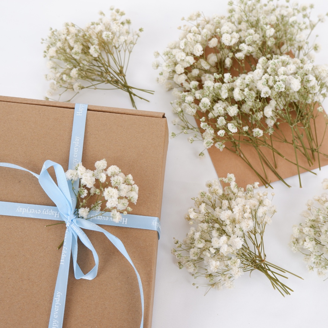 Getrocknete Blumen, weiße Mini – Florist Supply Vases Bewertung und Preis