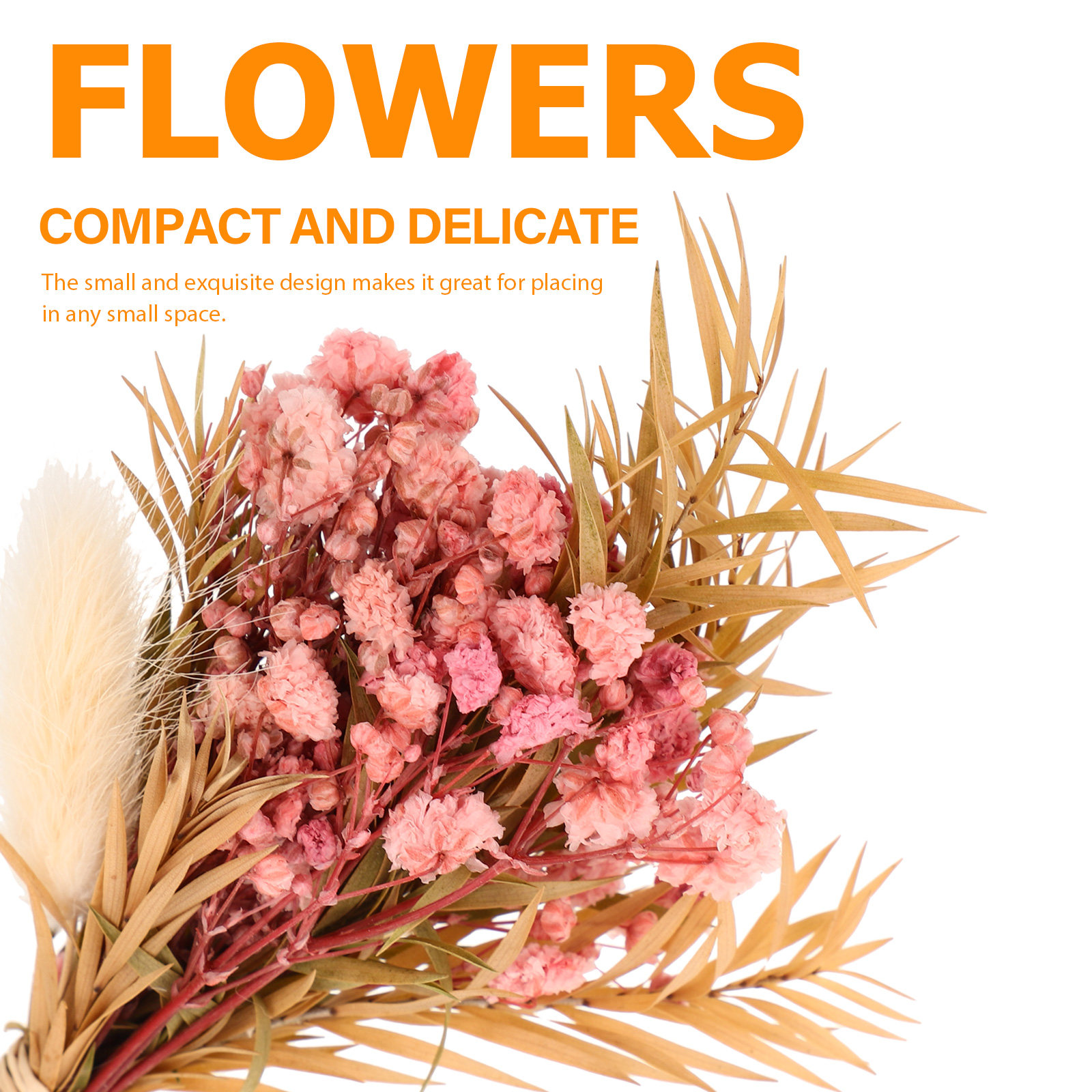 3-teiliges Mini-Trockenblumen- – Florist Supply Vases Bewertung und Preis