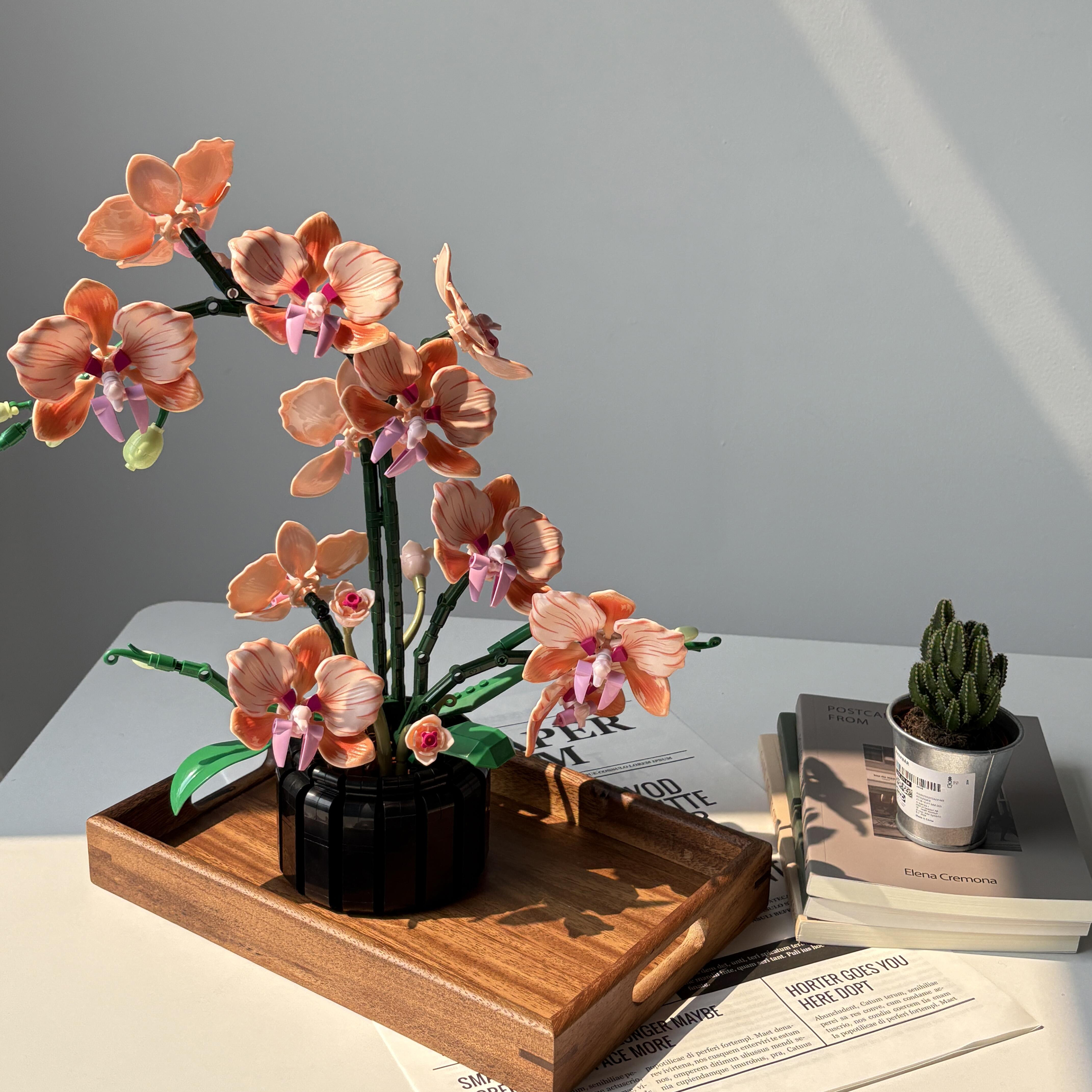 Orangefarbener Phalaenopsis-Or – Florist Supply Vases Bewertung und Preis
