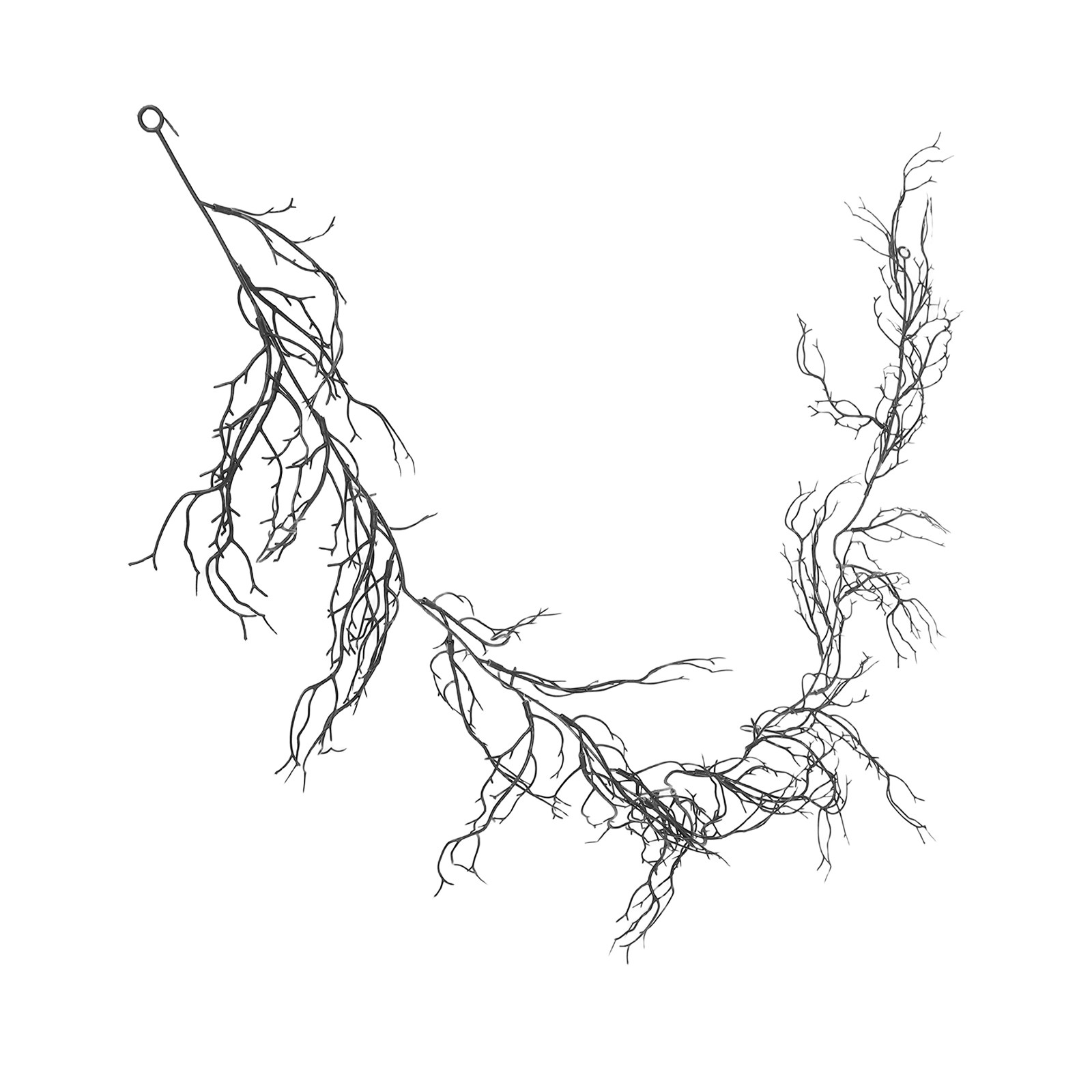 Schwarze Dekorative Rankengirl – Branch Curly Willow Bewertung und Preis