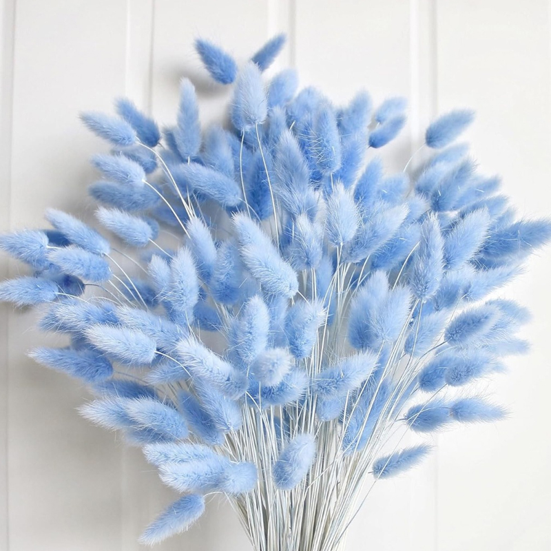 100 Stück blauer Häschen-Schwa – Florist Supply Vases Bewertung und Preis