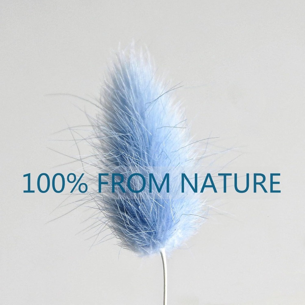 100 Stück blauer Häschen-Schwa – Florist Supply Vases Bewertung und Preis